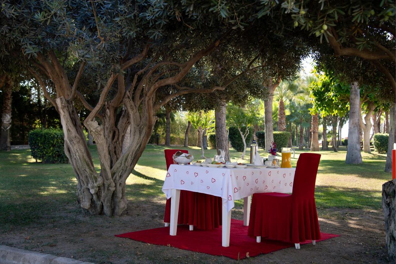 Kamelya Aishen Club & Aqua Ultra All Inclusive Kids Concept Side Exteriér fotografie The garden of the hotel